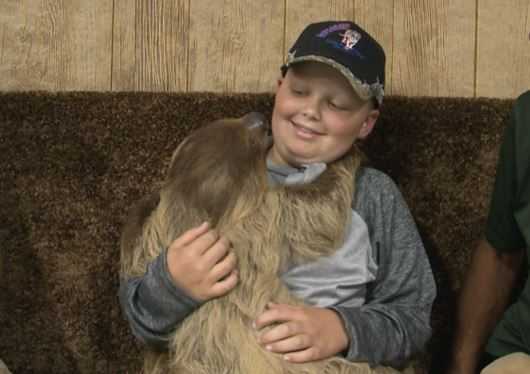 Boy battling cancer has dream fulfilled, meets sloth in person