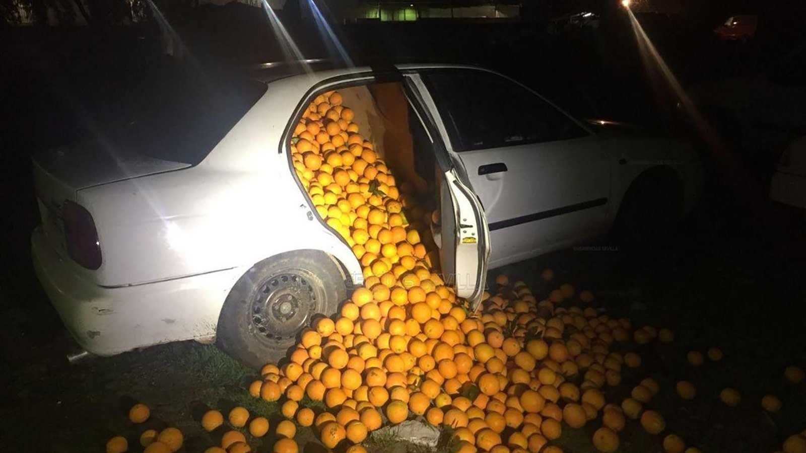 Police pull over a car and oranges come tumbling out