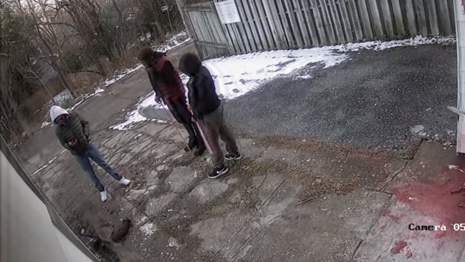 Police: Cat beaten, stabbed, set on fire; suspects sought