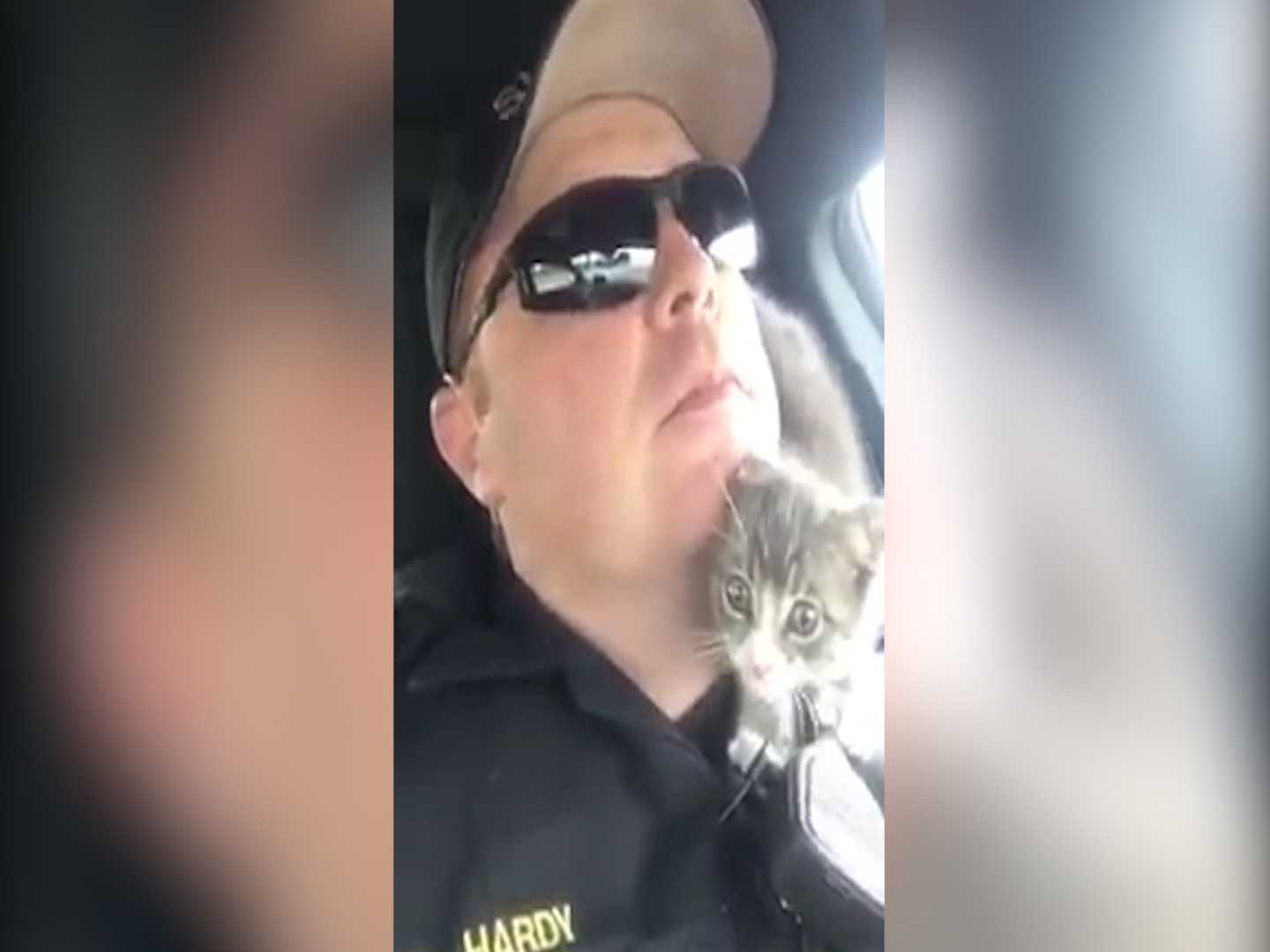 VIDEO: NorCal deputy rescues his new partner -- an adorable kitten