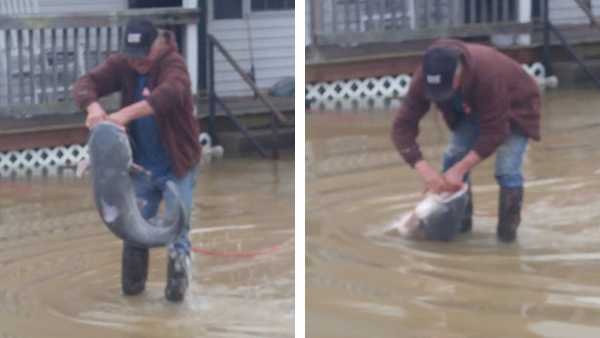 Man catches 40-pound catfish in his front yard