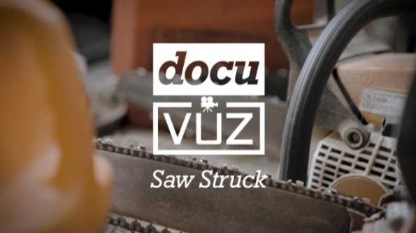 Meet Gary, the chainsaw artist