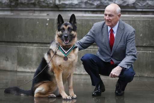 Dog receives posthumous medal for attacking enemy and other efforts in WWII