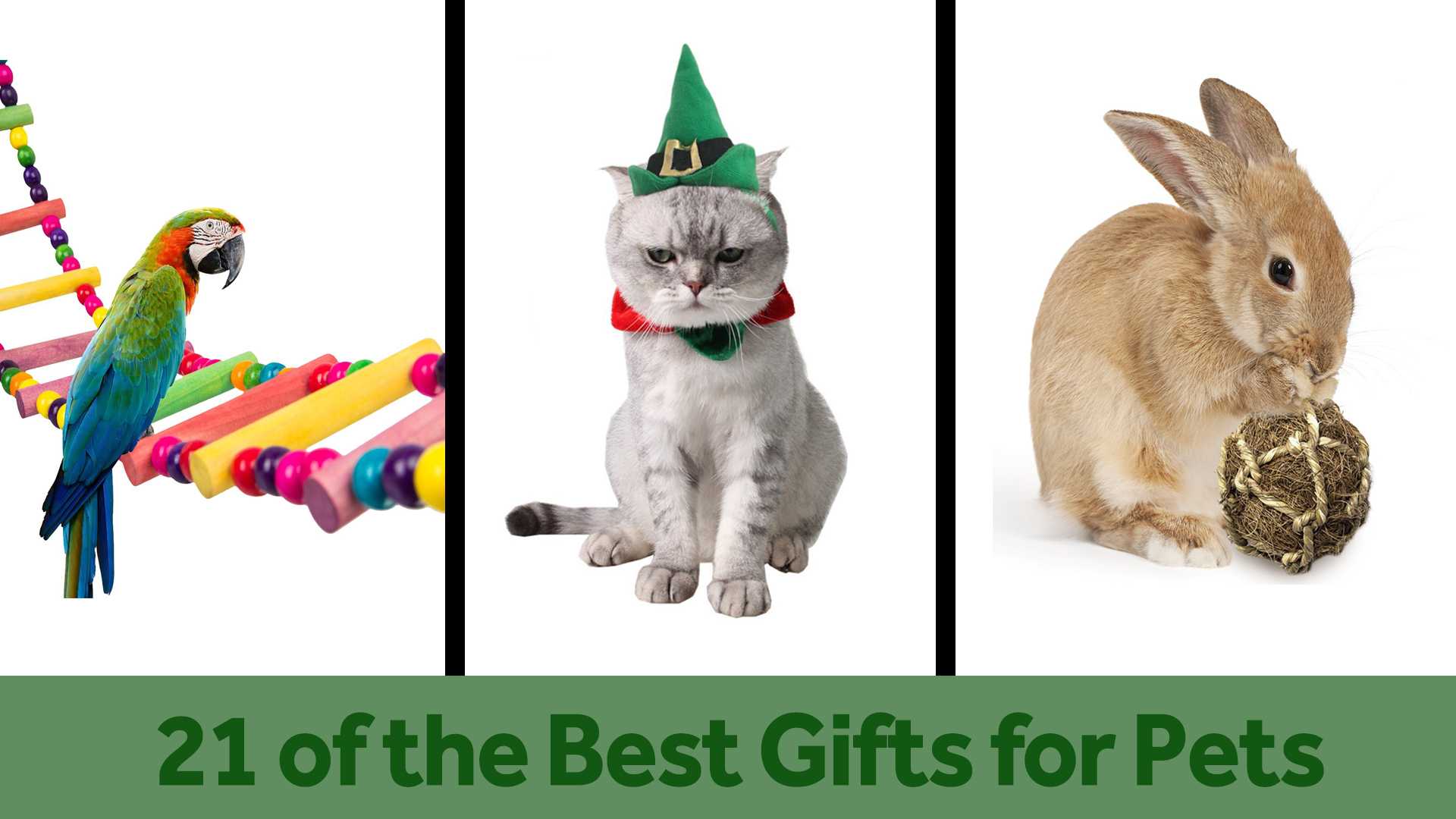 21 holiday gifts that are perfect for pets