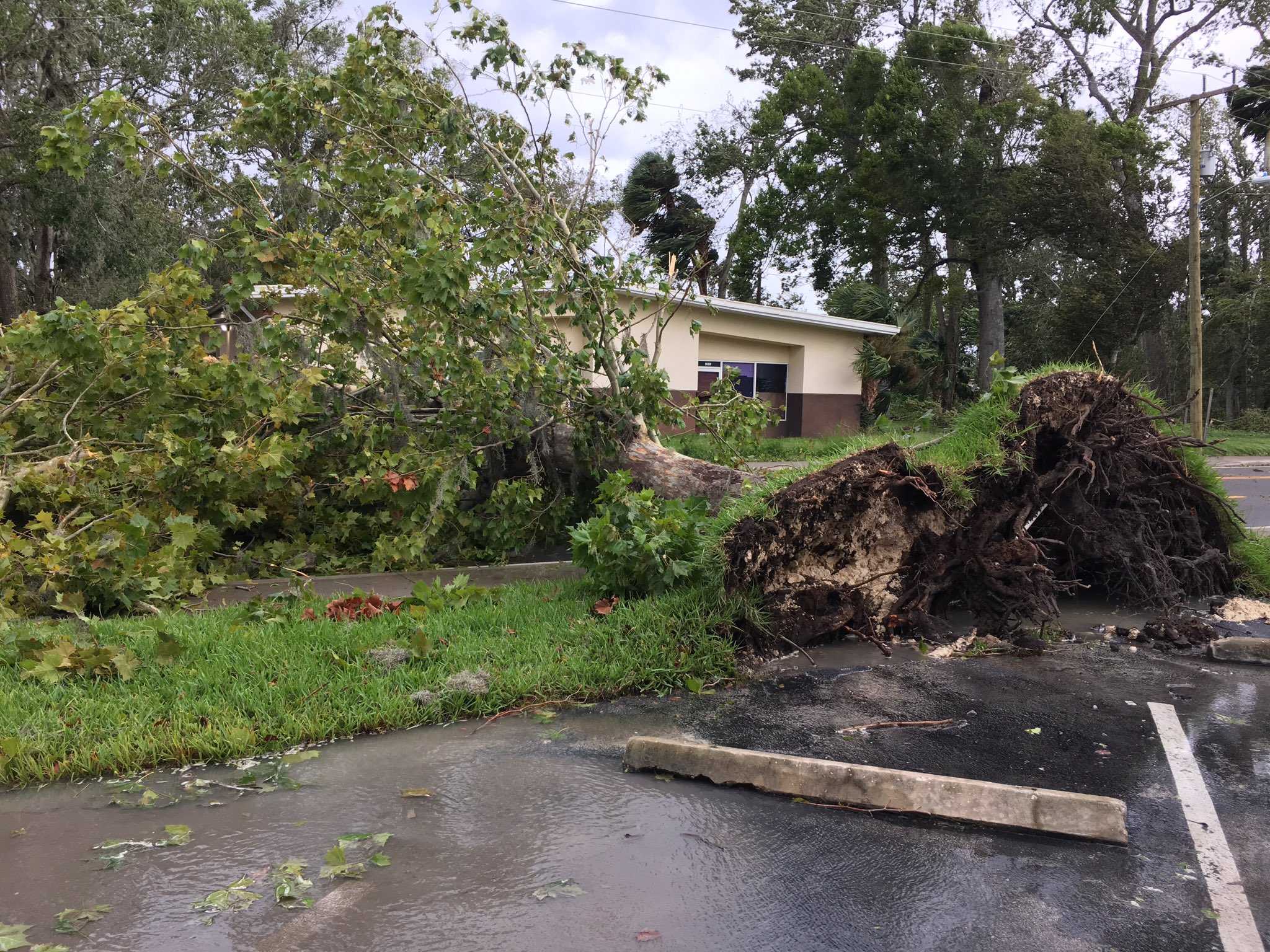 PHOTOS: Florida ravaged by Hurricane Irma