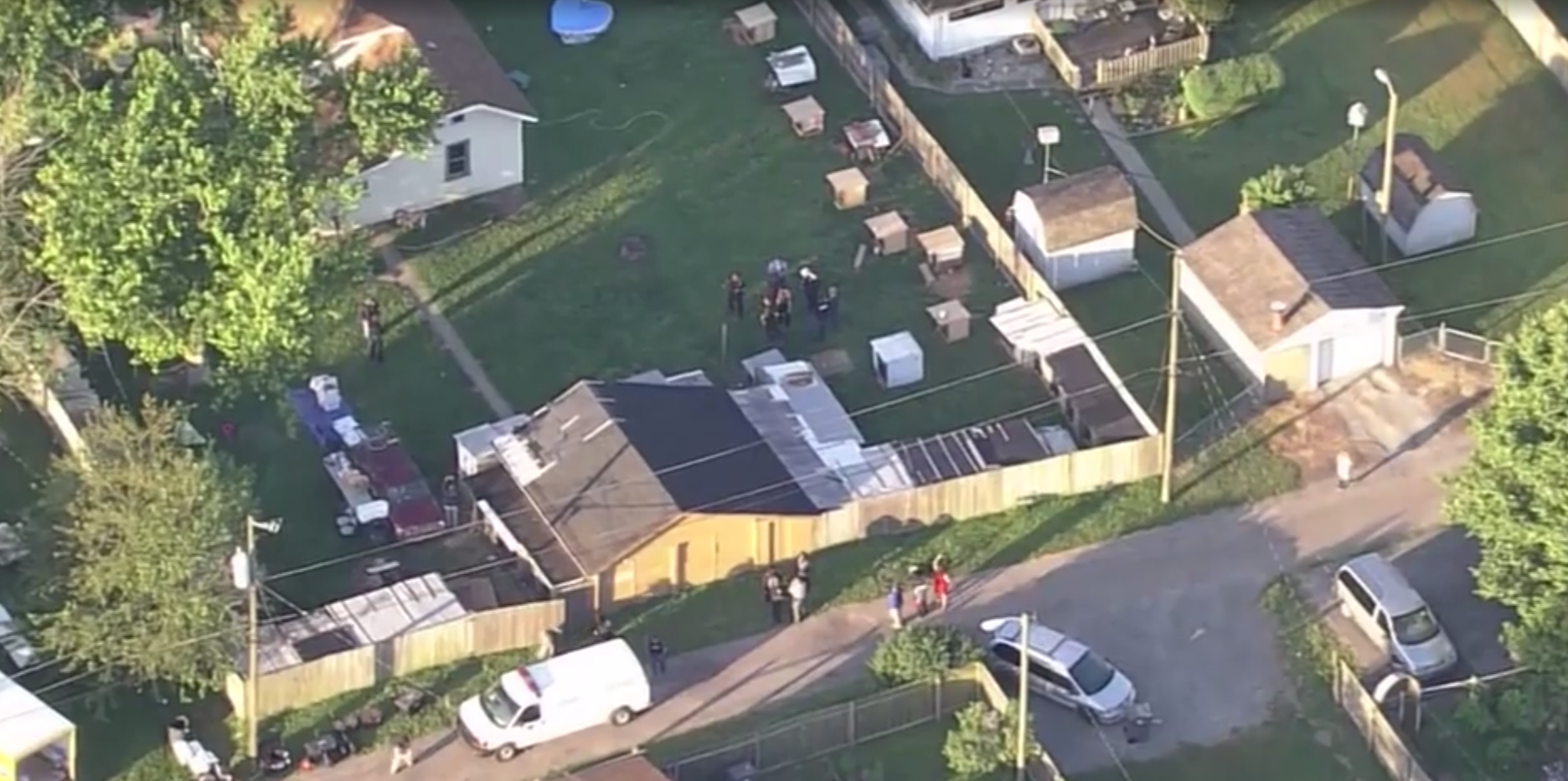 More than 200 birds seized in Indianapolis cockfighting bust