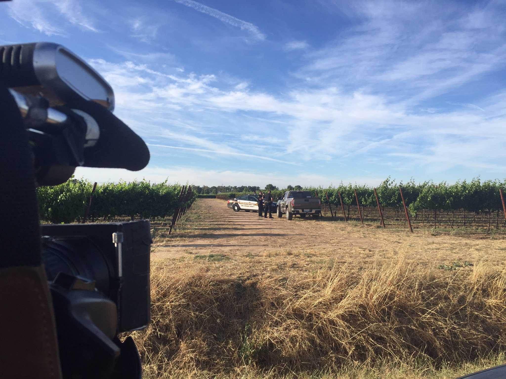 Lodi Parachute Center attributes death to skydiver's error