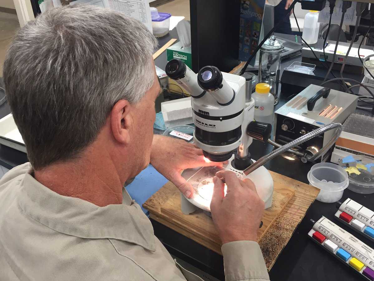 It's mosquito season: See where in Northern California they are biting