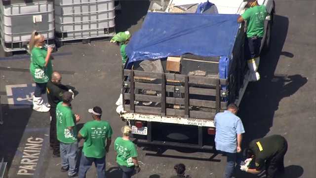 More than 1,000 dead animals reportedly found in industrial complex