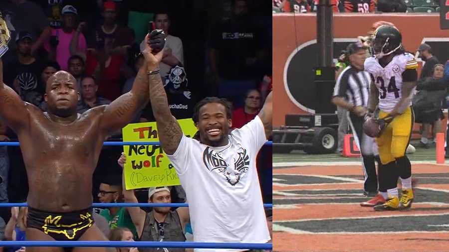 Pittsburgh #Steelers free agent DeAngelo Williams has a new job: Pro wrestling star
