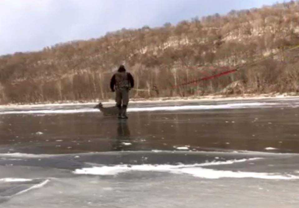 Watch: Father and son rescue deer from frozen river