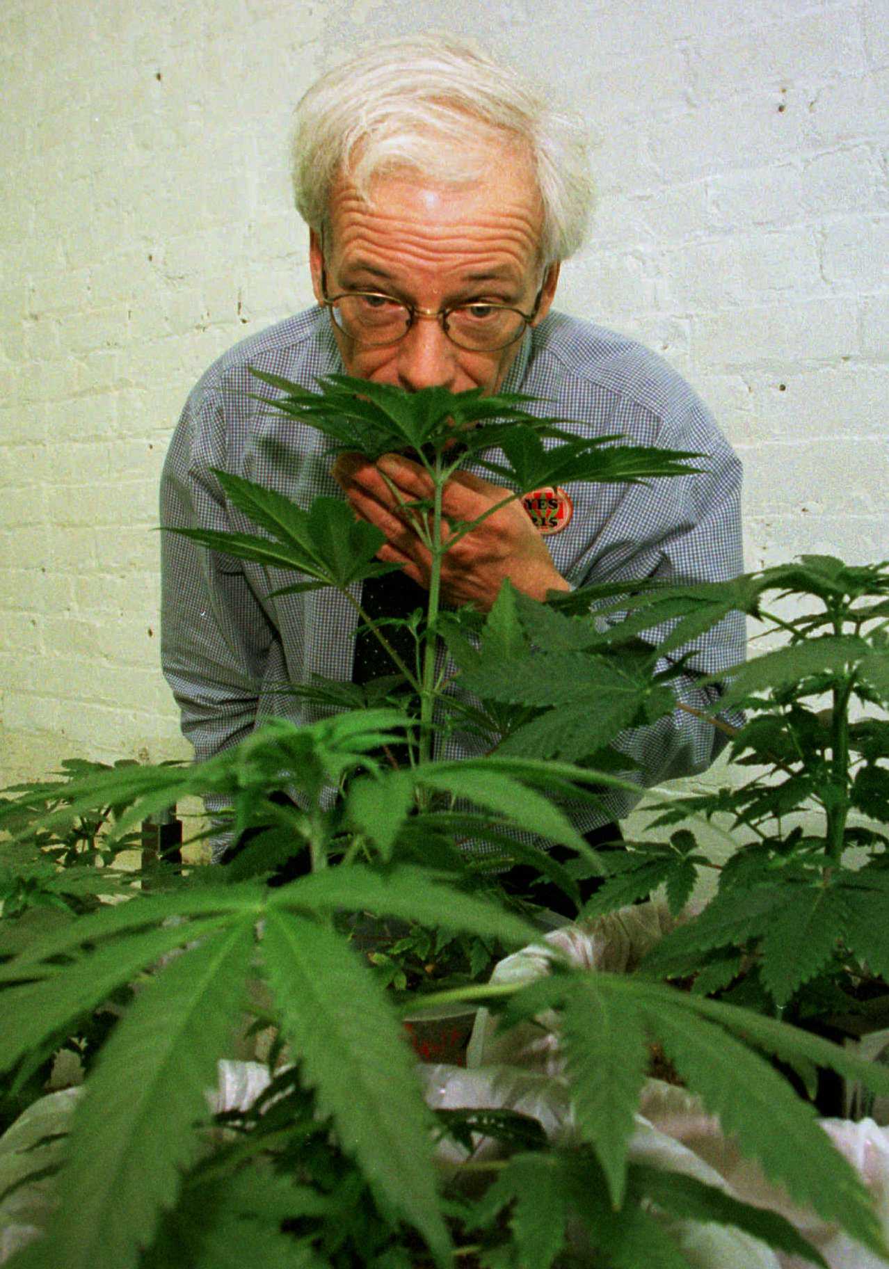 Activist who helped legalize medical pot in California, dies