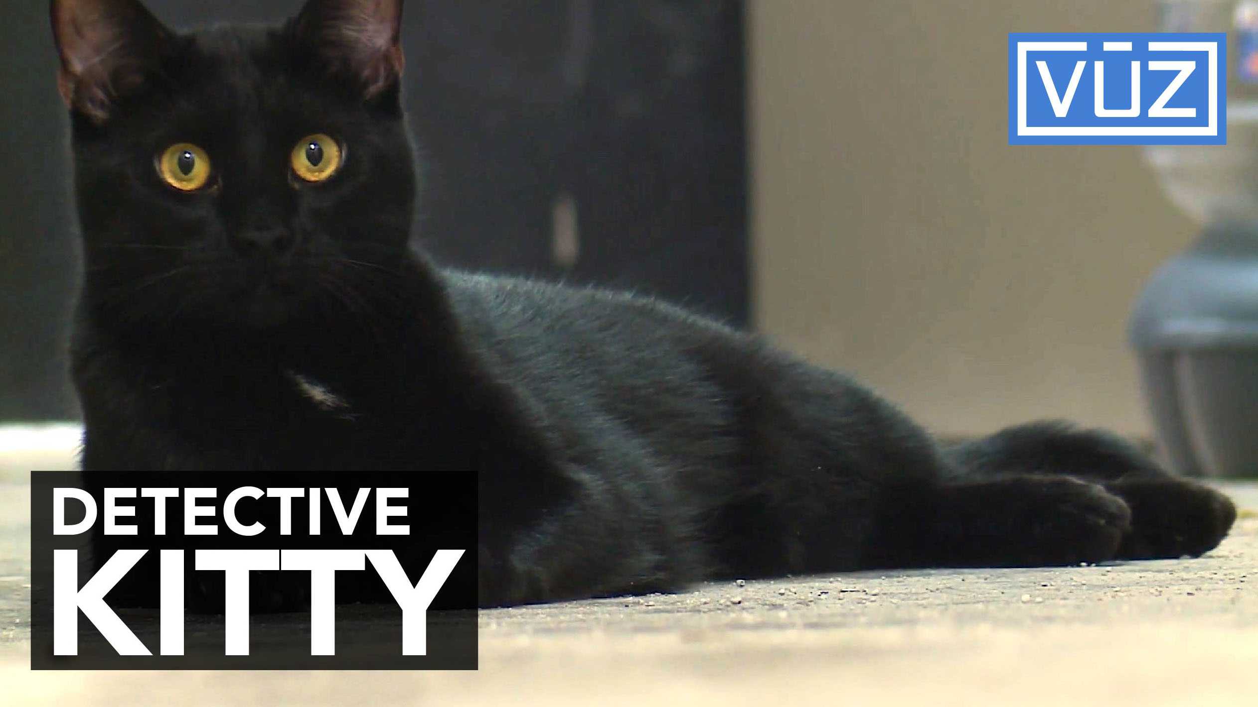 Police Department brings in special detective to keep out mice