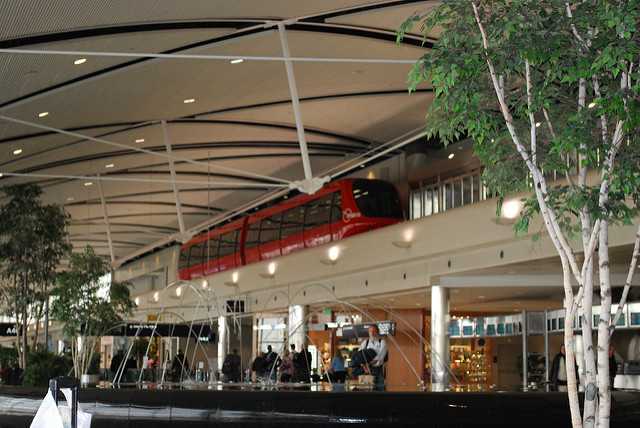 Plane has to dump fuel over lake, return to Detroit airport