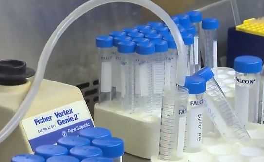 Old generic vaccine shows potential to treat diabetes