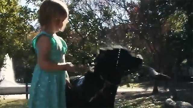 Group training dogs to detect medical problems