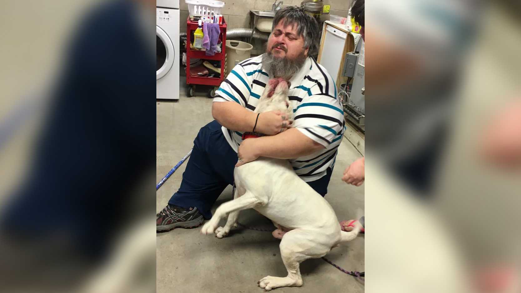 NorCal man reunites with dogs he thought were dead