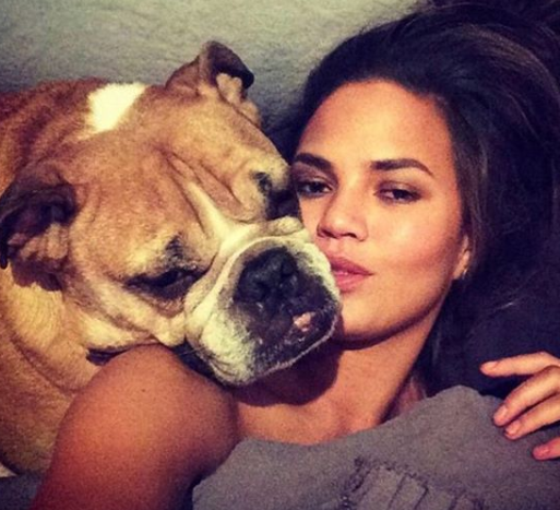 'My heart aches': Chrissy Teigen mourns death of beloved dog Puddy