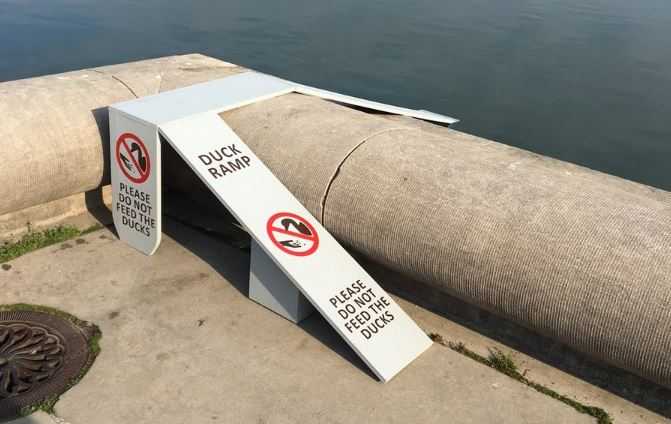 D.C. duck ramp causes a flap