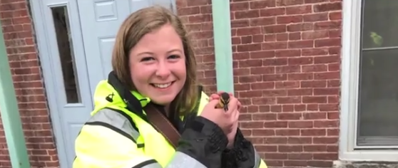 Fire crews save four adorable ducklings