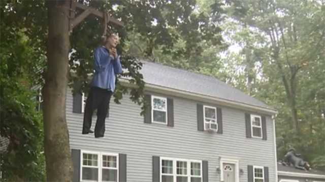 Dummy hanging from a tree for Halloween disturbing neighbors