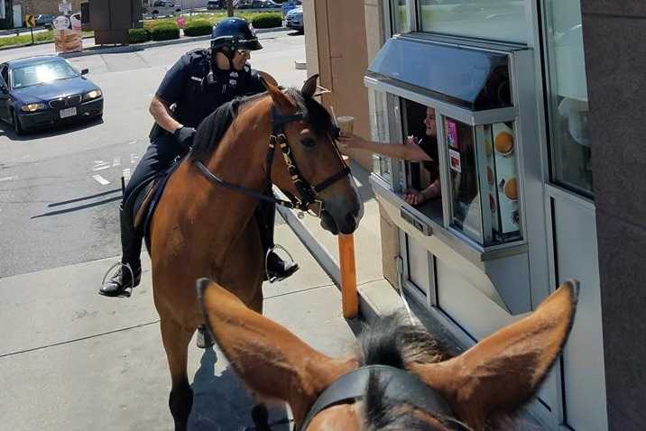 Yee-haw! Police go through Dunkin' Donuts drive-thru Western style