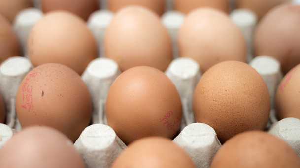 13,500 eggs too many: Norwegian chefs' Olympics order gets scrambled