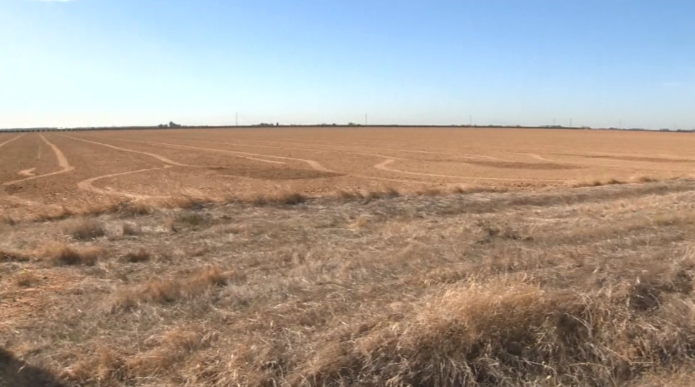 Elk Grove may expand city limits. Some residents aren’t happy