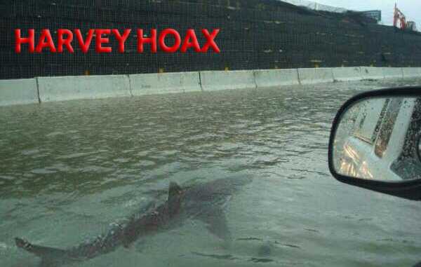 Harvey Hoax: There are no sharks on Houston's flooded freeways