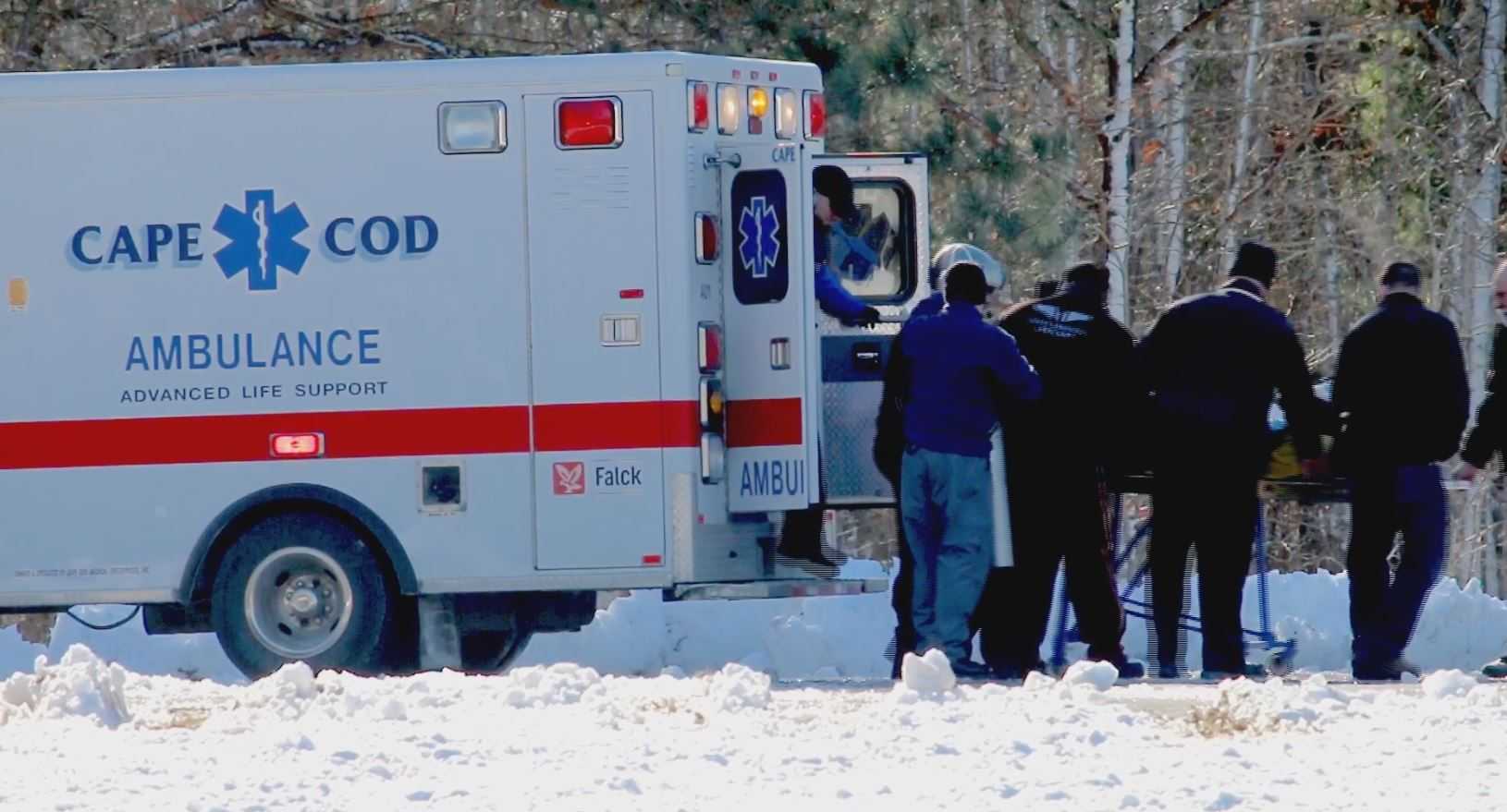 Dad stabs family dog to death to free 1-year-old daughter being attacked