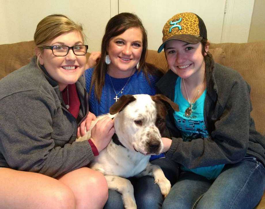 Loyal dog that wouldn't leave dead canine companion finds new home