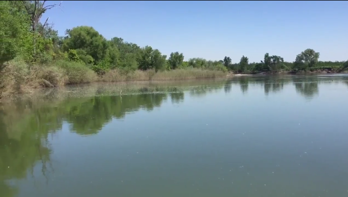 Authorities: Body of missing woman found in California river