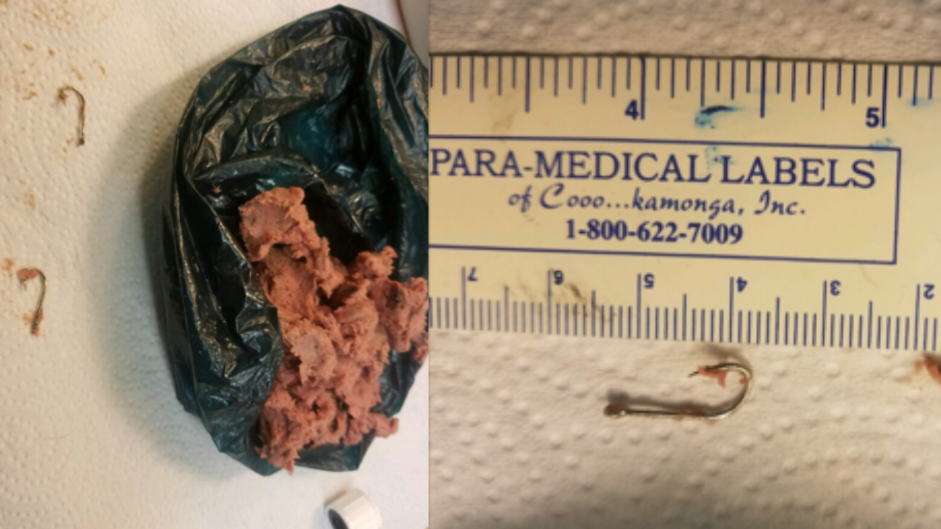 Balls of meat filled with fish hooks found at Florida dog park