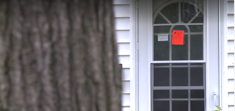 Horrifying: Fleas from infested home spread to neighbors' lawns, cars, even pets