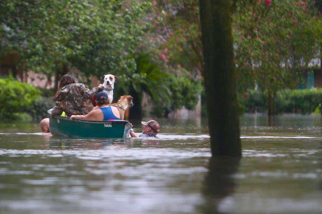 Flooding continues in Texas as Harvey drenches the state