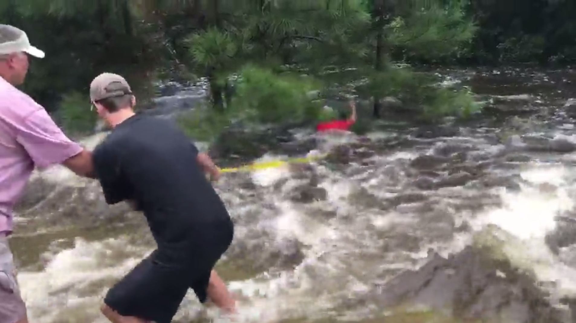 Dramatic video: Men work together to save dog from Harvey's rushing floodwaters
