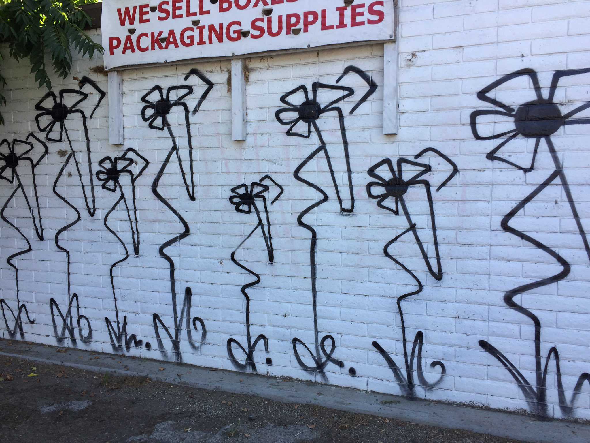 Graffiti or art? Painted flowers pop up around Sacramento