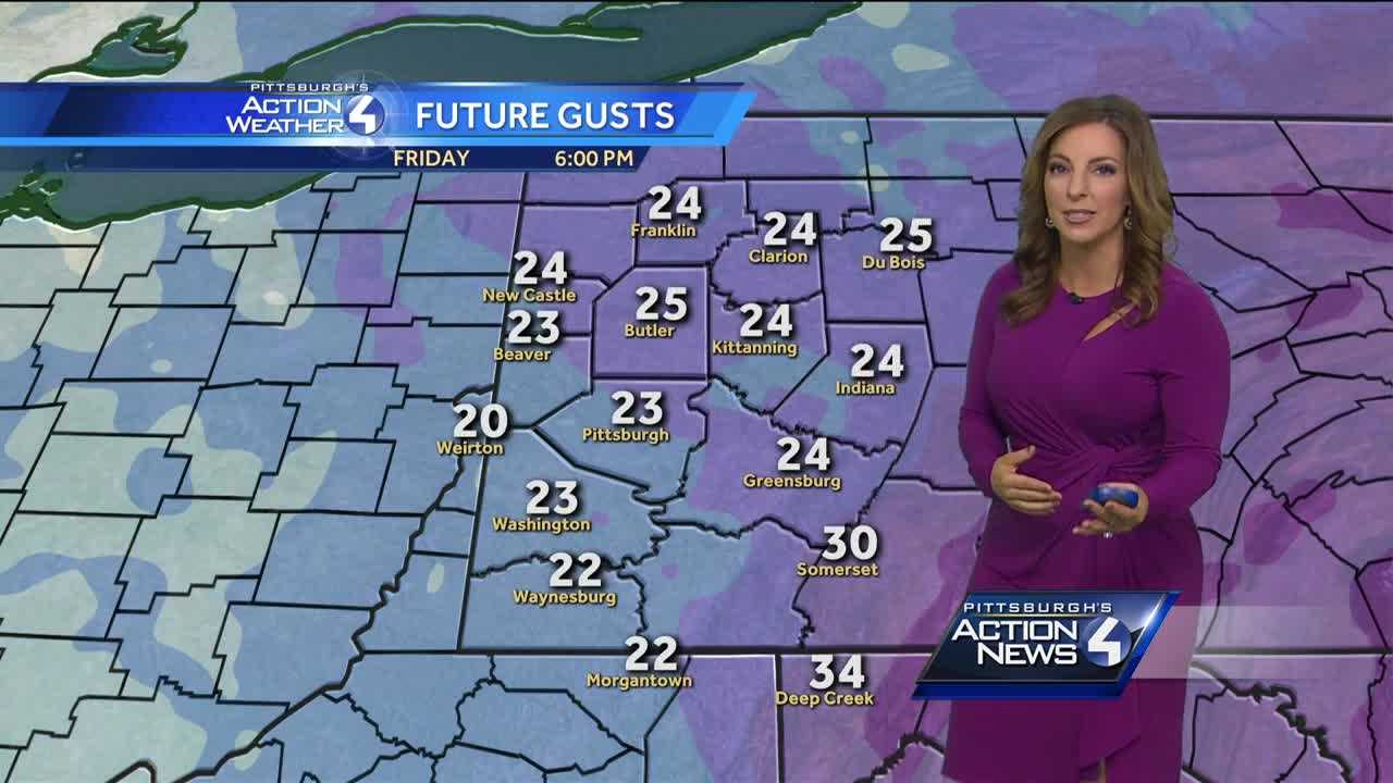 High wind warning in effect; gusts strong enough to blow down trees, power lines