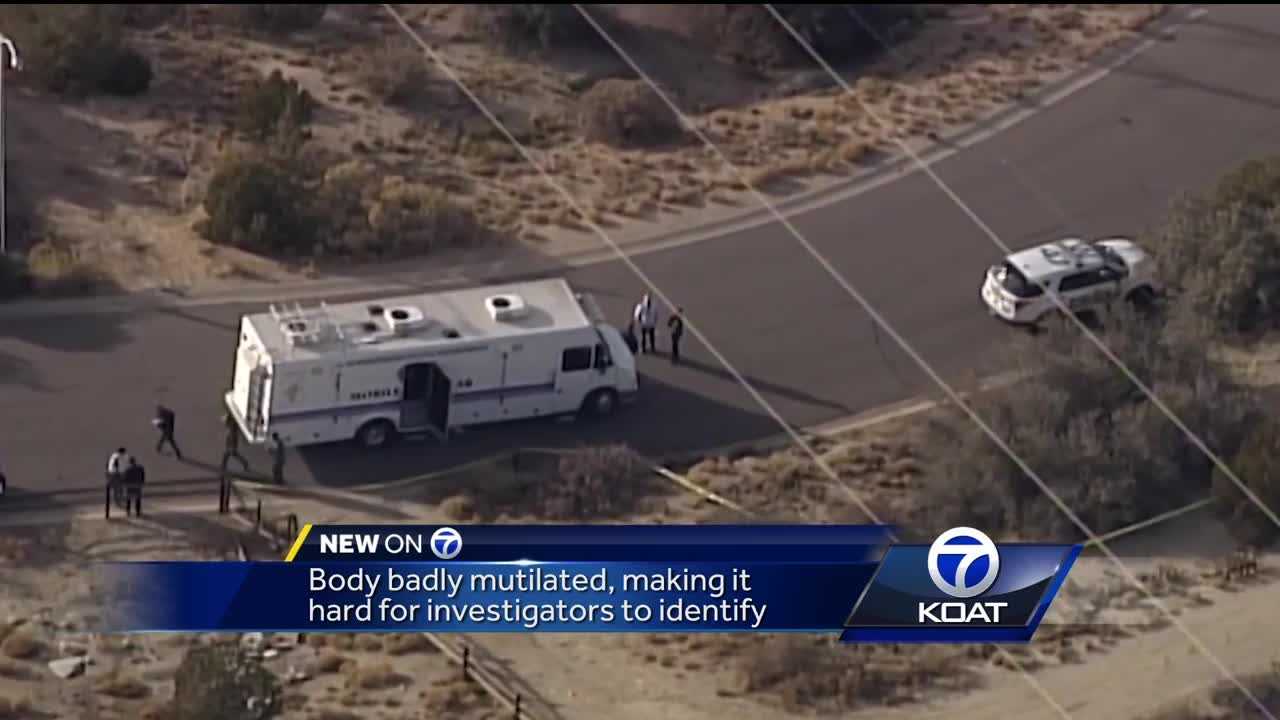 Woman found dead in the Four Hills area identified