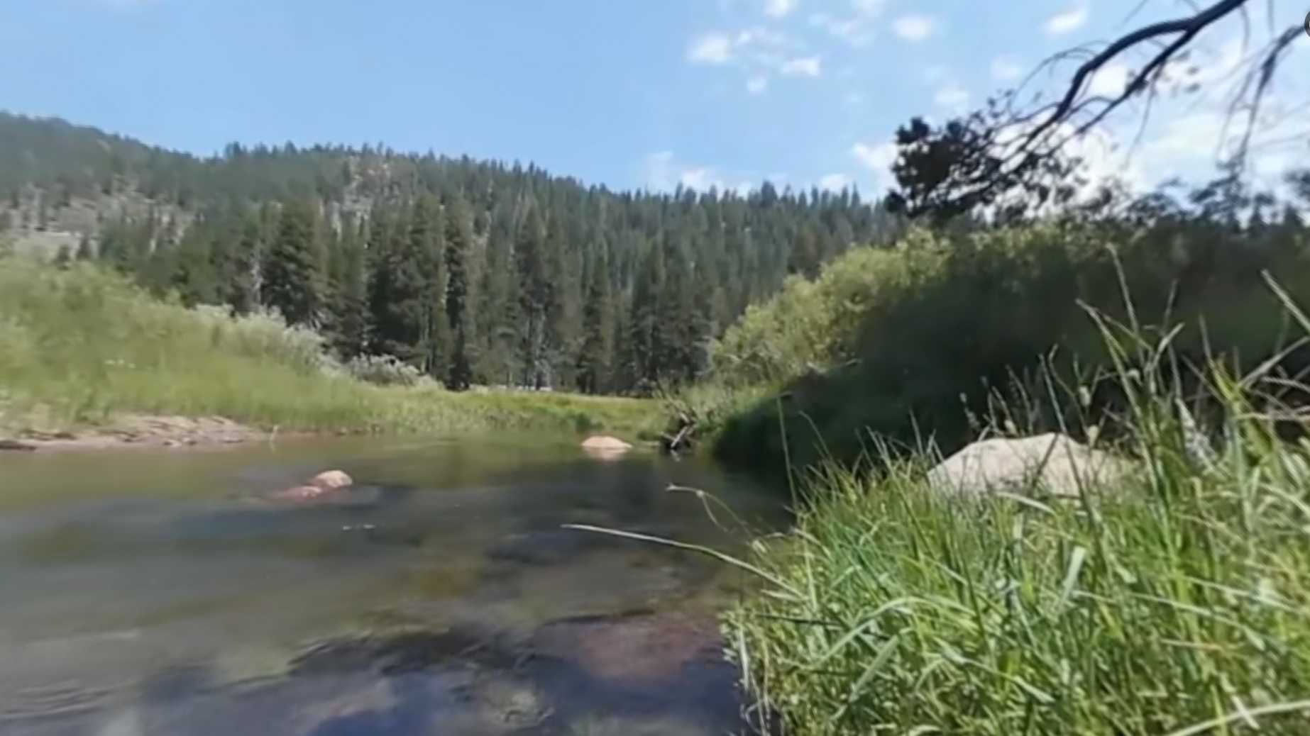360° Video: Closer look at Truckee's 'Secret Garden'