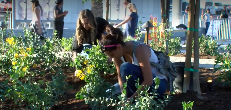 Hundreds of volunteers build memorial park to honor Las Vegas shooting victims