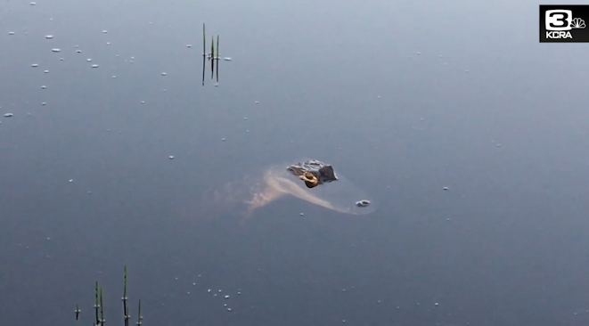 California power crews face unique challenge: gators