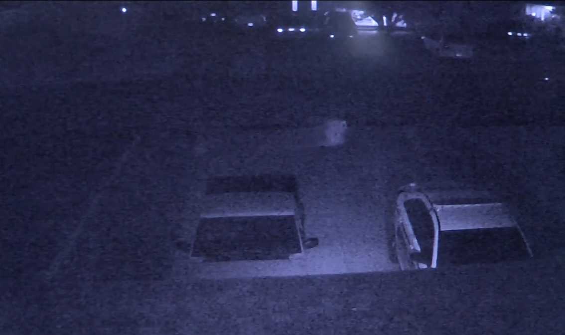 'Ghostly' image captured on couple's surveillance camera