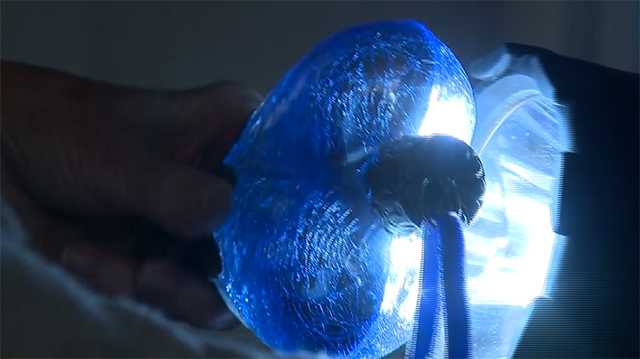 Woman says ornament is really misplaced urn