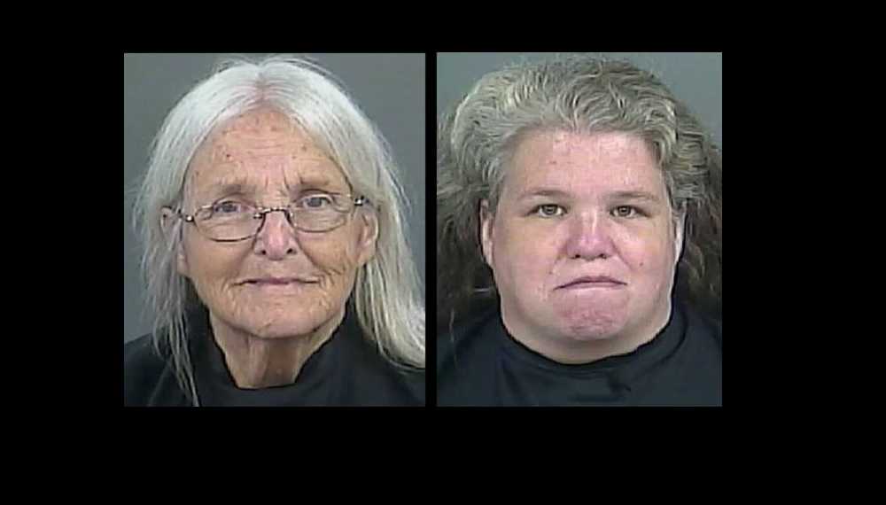 11 horses, 5 dogs, goat, duck seized; mother, daughter charged