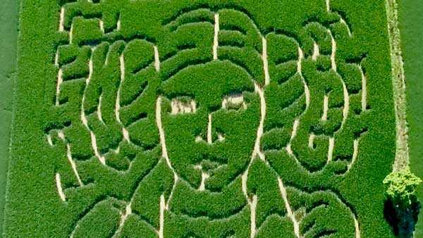 Maze the force be with you: Farmer pays tribute to Princess Leia