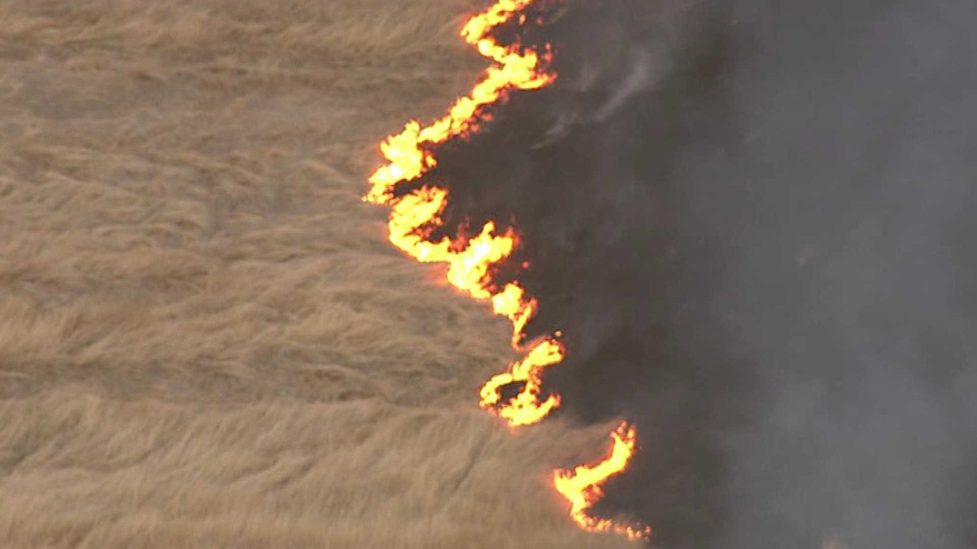 1 detained after Friday grass fires in Sacramento County
