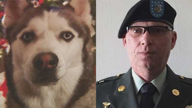Veteran's service dog, Gunner, found with gunshot wound, family says.