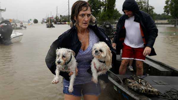 Cincinnati animal rescue needs help fostering dogs, cats ...