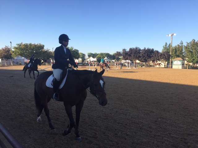 'Raucous' horse jumping in Sacramento? Believe it